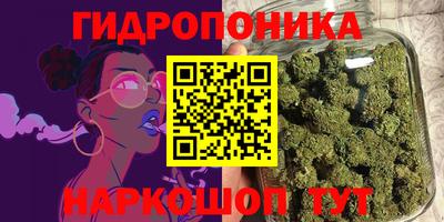 ПСИЛОЦИБИНОВЫЕ ГРИБЫ Кингисепп