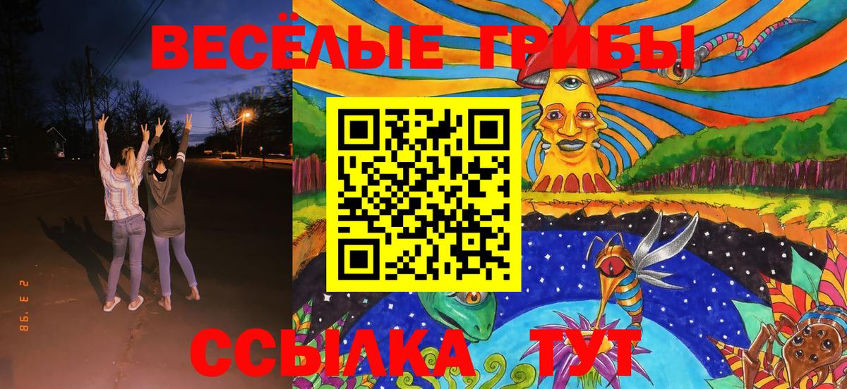 Псилоцибиновые грибы Psilocybine cubensis Королёв