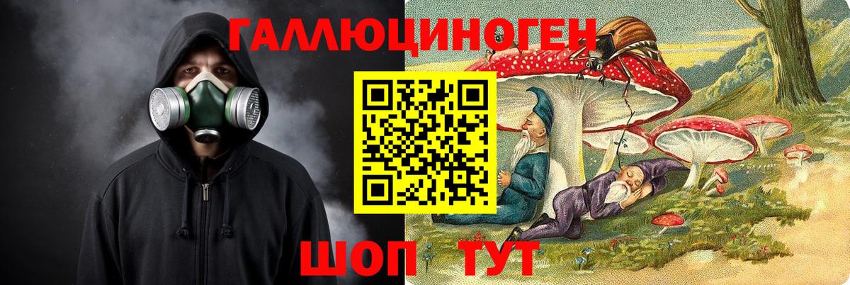 Королёв  Галлюциногенные грибы Psilocybe  Вход с VPN 